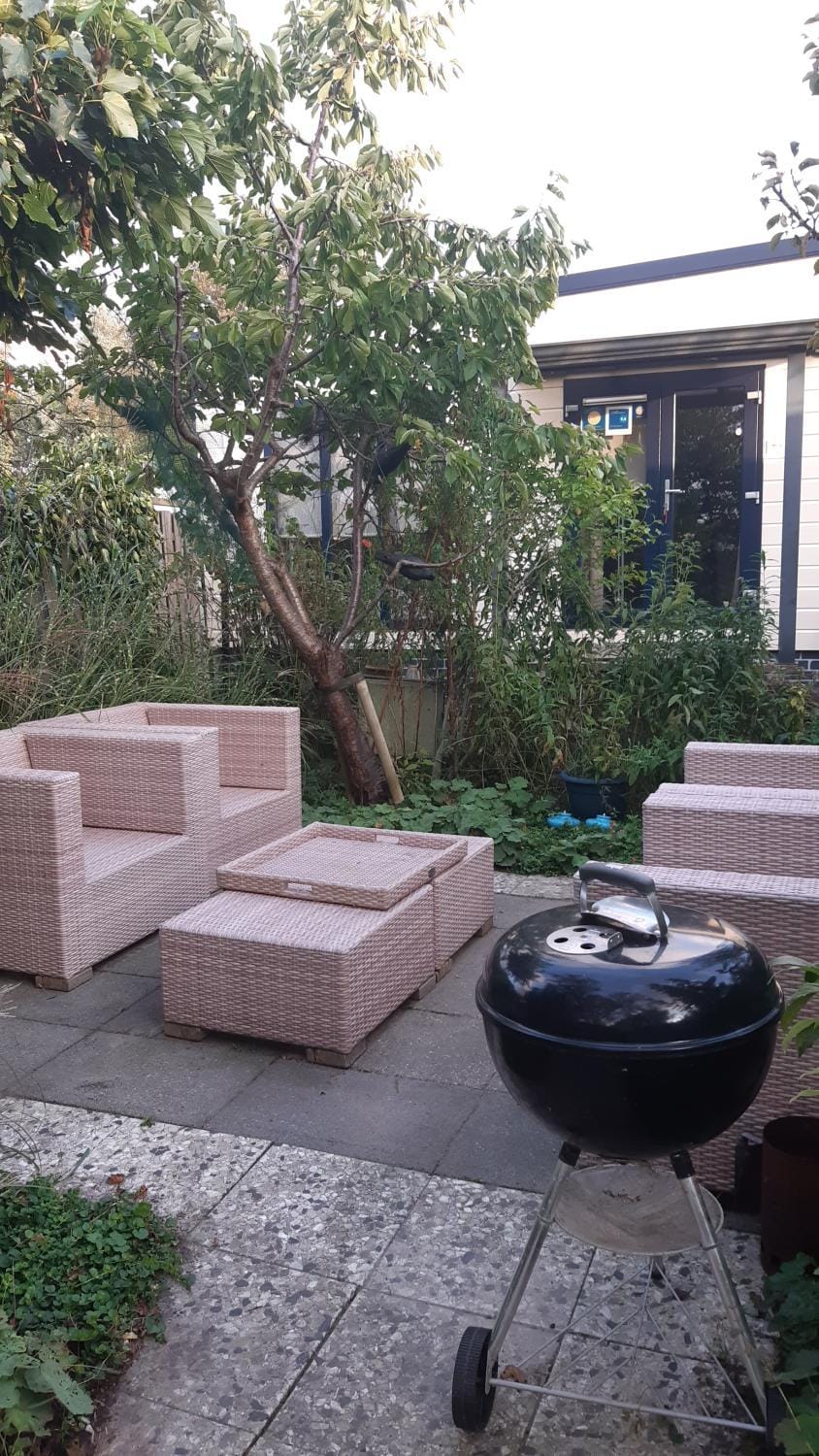 Day, Garden