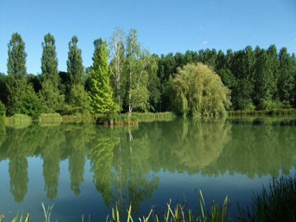 Garden, Lake view