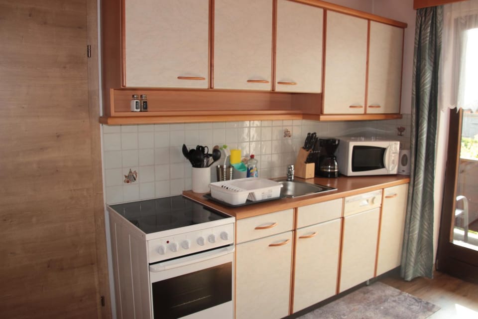 Kitchen or kitchenette, dishwasher, oven