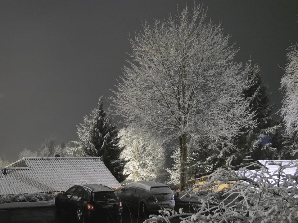 Night, Winter, On site