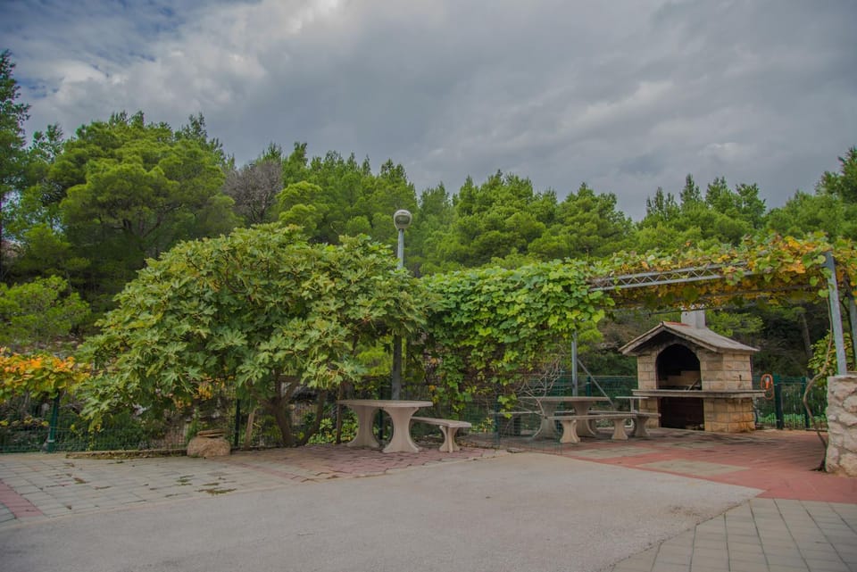BBQ facilities, Garden