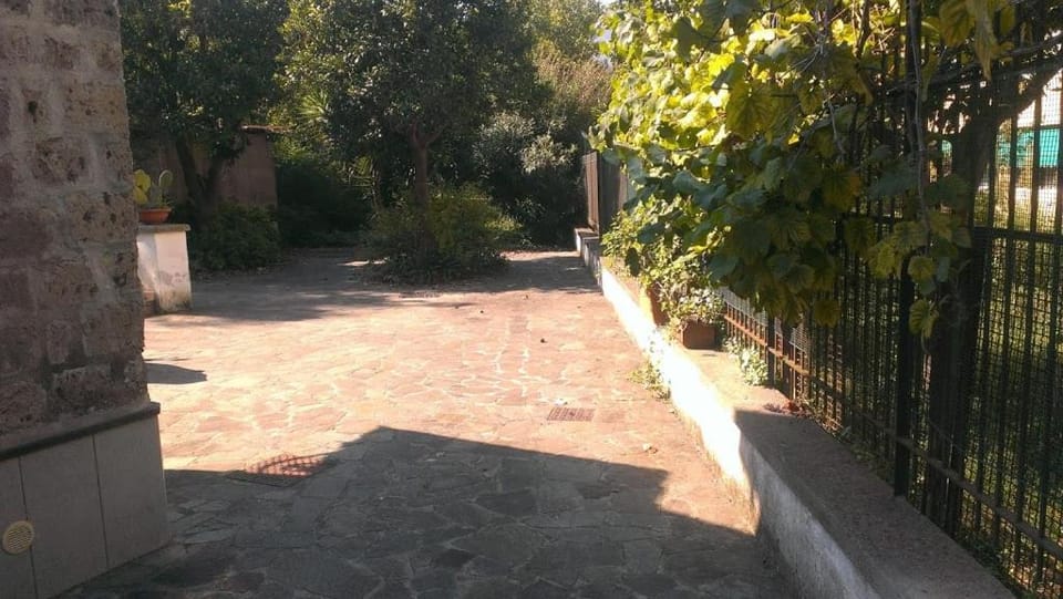 Facade/entrance, Garden