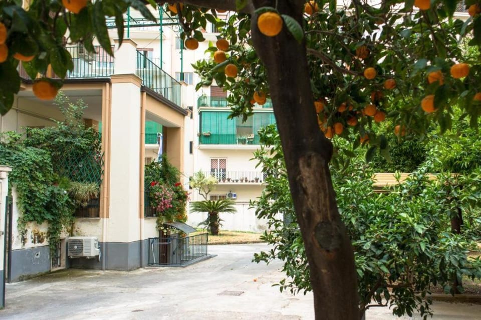 Garden view, Inner courtyard view
