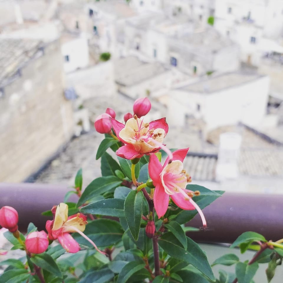 Sole di Paglia Apartment in Matera