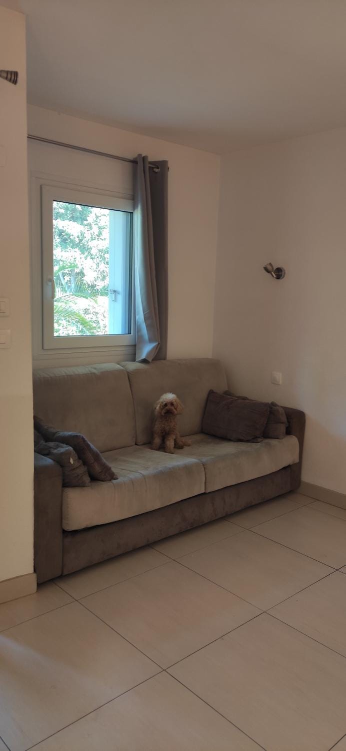 Residence Les Palmiers Apartment in Nice