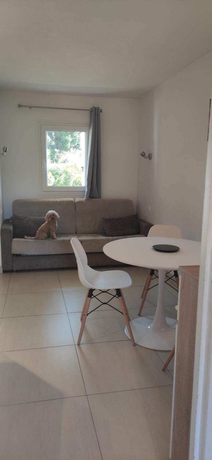 Residence Les Palmiers Apartment in Nice