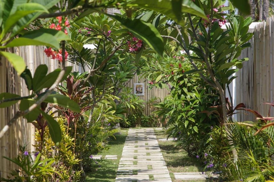 Facade/entrance, Garden