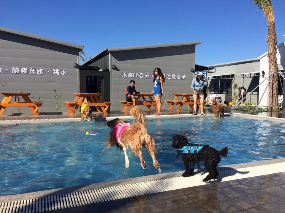 Swimming pool
