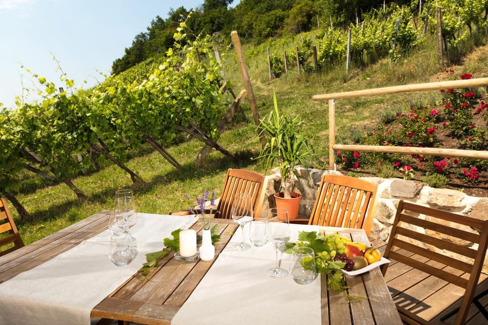 Food close-up, People, Garden, Food, Garden view, Drinks, Alcoholic drinks, Non alcoholic drinks, Family