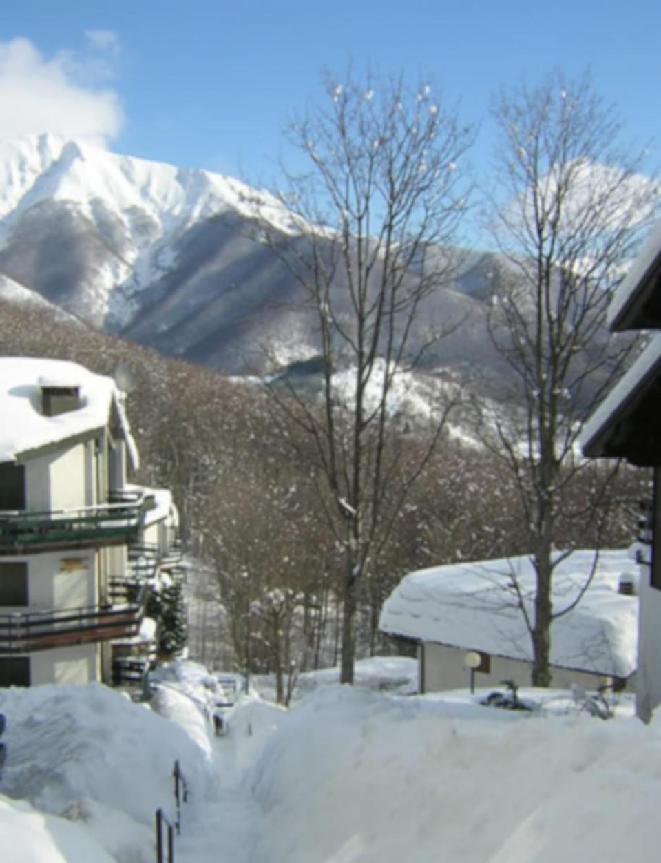 Mountain view