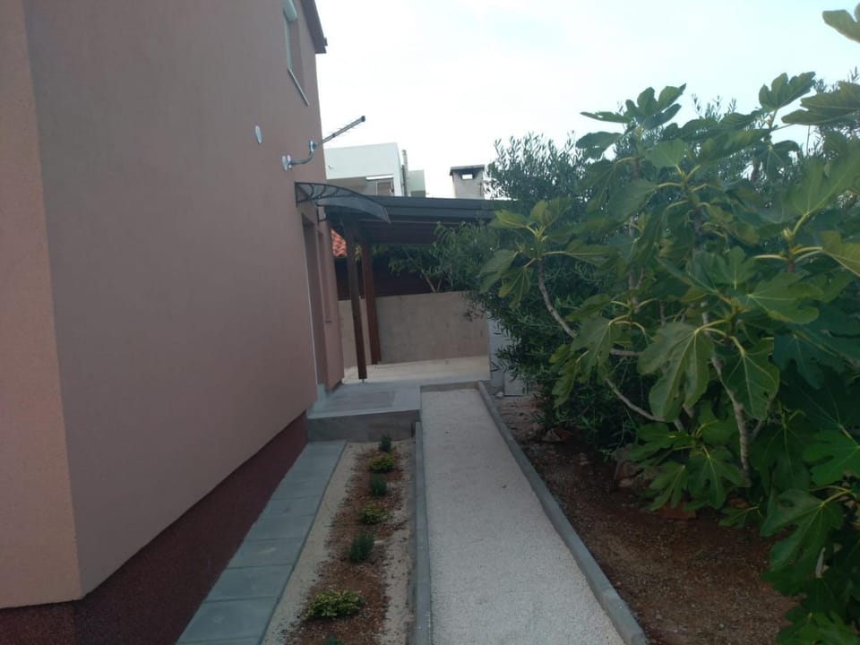 Property building, Day, Garden view