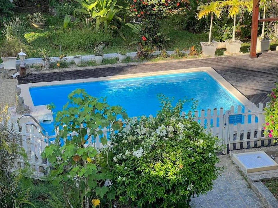 Garden, Pool view, Swimming pool