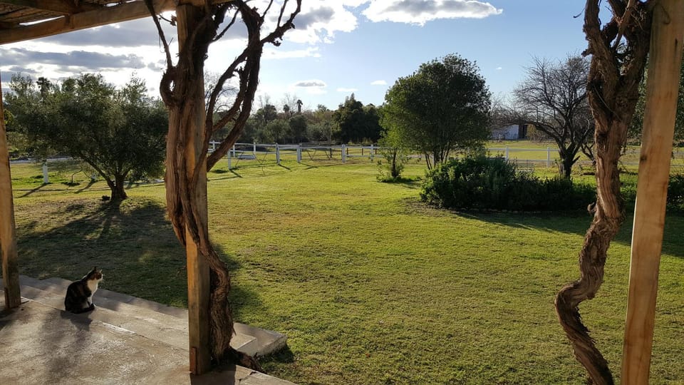 Garden view