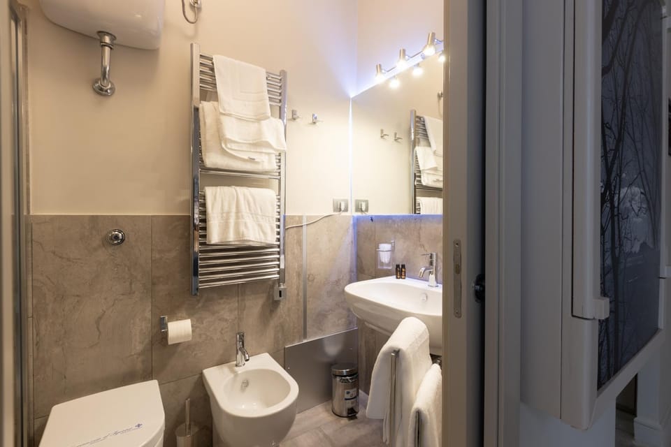 Shower, Toilet, Bathroom, bidet