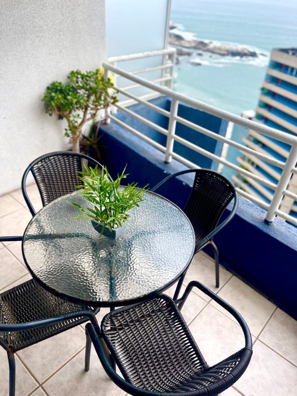 Departamento arriendo remodelado Apartment in Vina del Mar