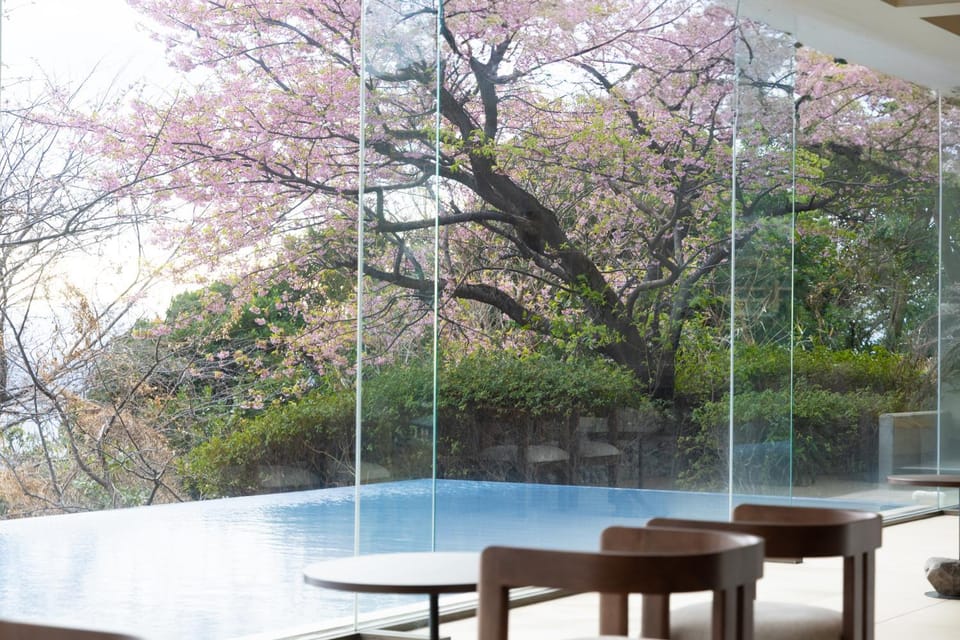 View (from property/room), Lobby or reception