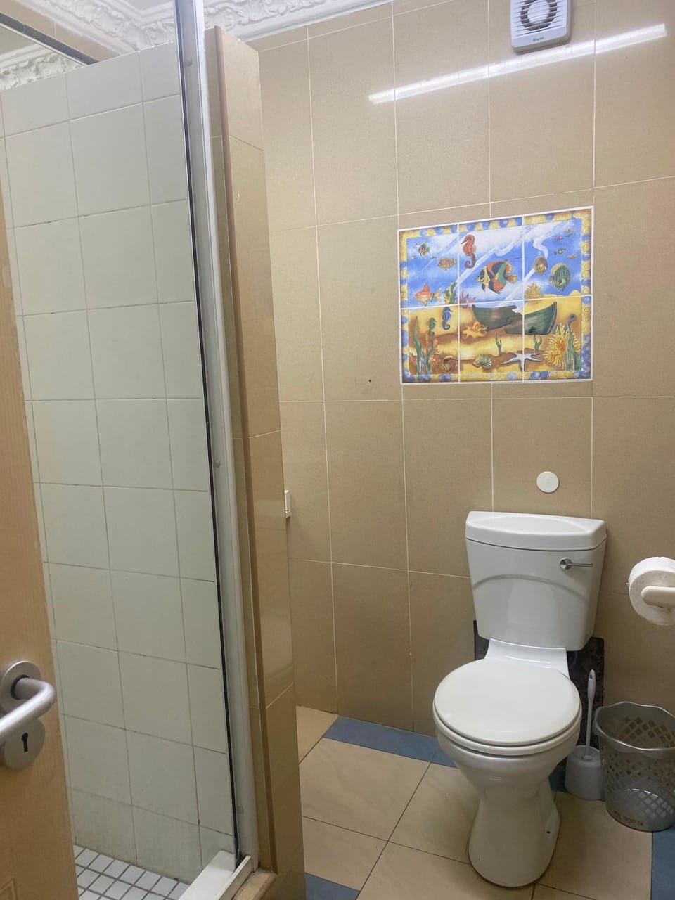 Shower, Toilet, Bathroom