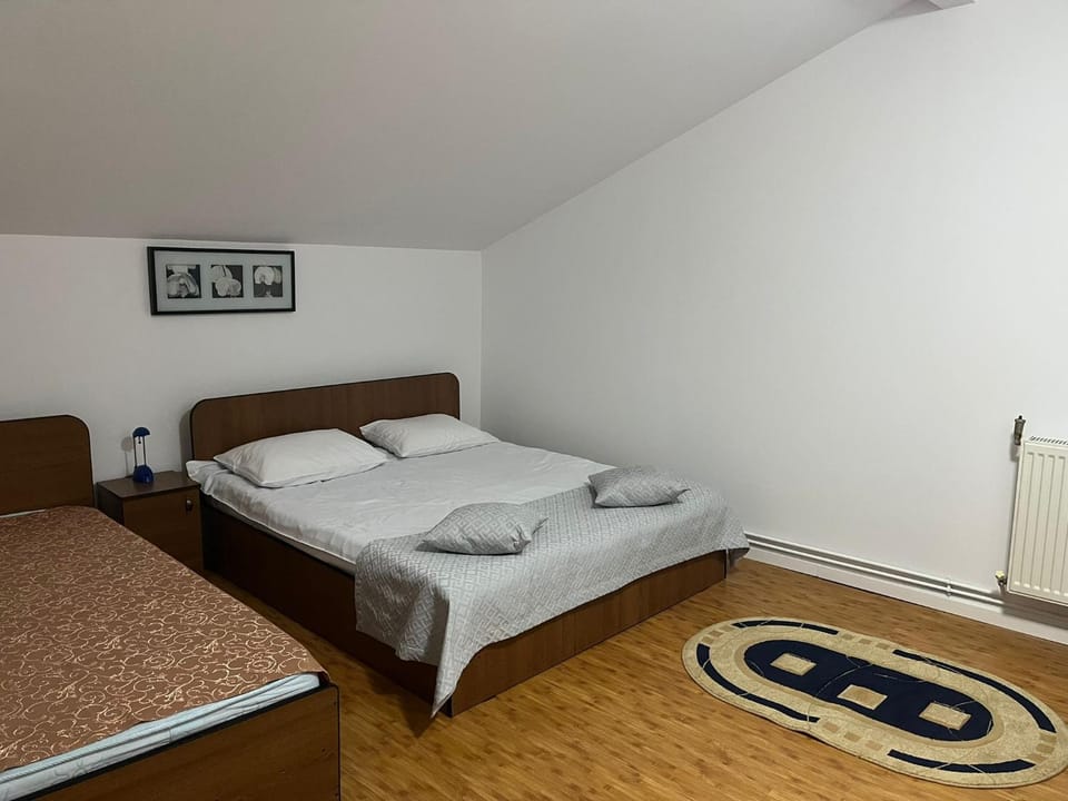Pensiunea Soreanca Bed and Breakfast in Romania