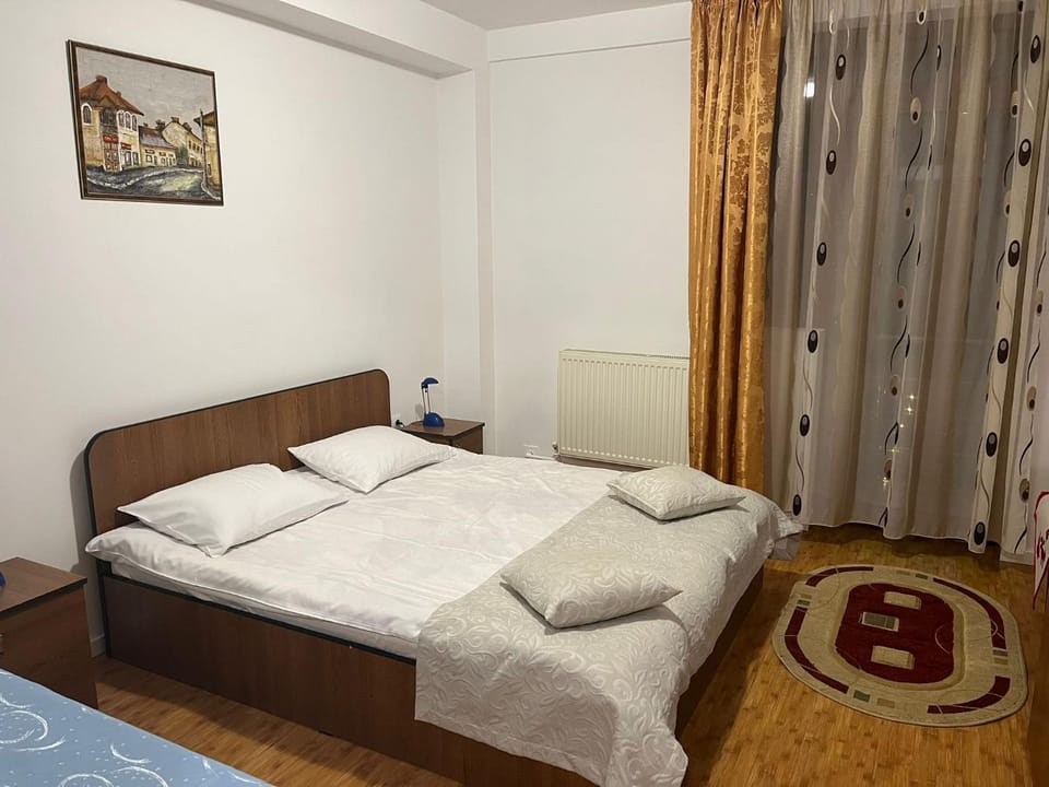 Pensiunea Soreanca Bed and Breakfast in Romania