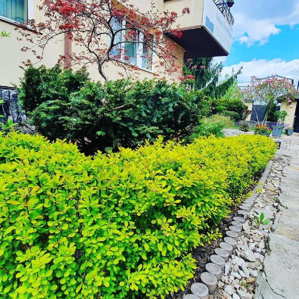 Garden, Garden view