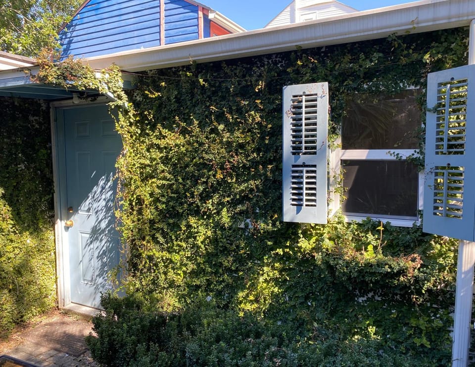 Property building, Facade/entrance