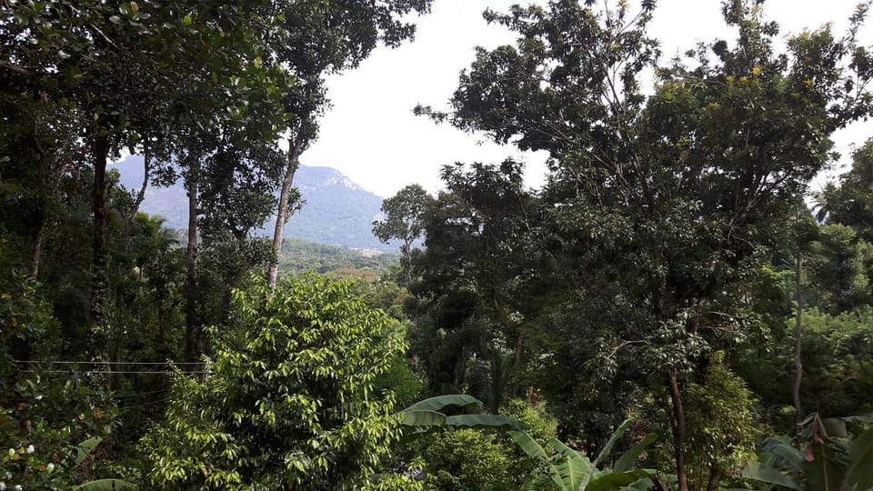 Mountain view