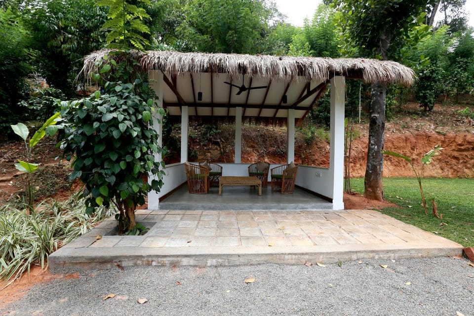Patio, Balcony/Terrace