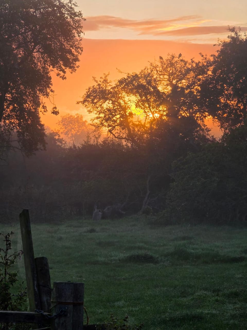 Brampton Dales Farm Bed and Breakfast in West Lindsey District
