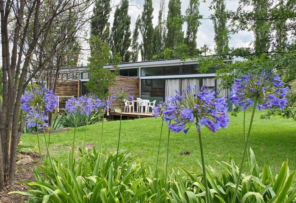 Property building, Garden view