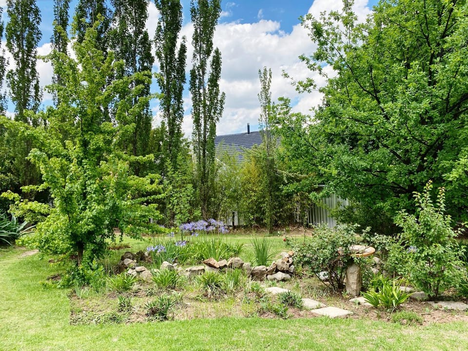 Garden, Garden, Garden view
