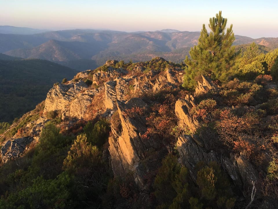 Hiking