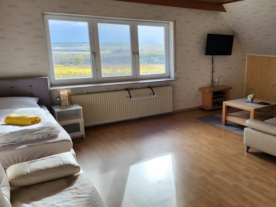 Monteurwohnung Ha-Wei -90 m2 Apartment in Rhineland-Palatinate