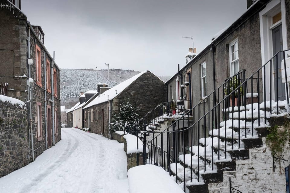 Day, Neighbourhood, Winter, Street view