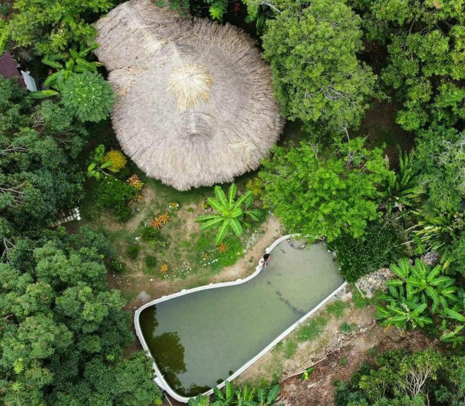 Bird's eye view, Swimming pool, Swimming pool