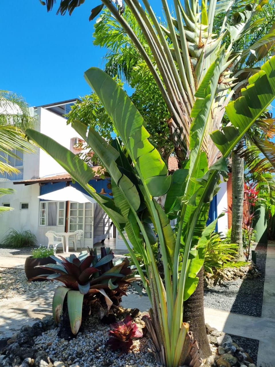 Garden, Garden view