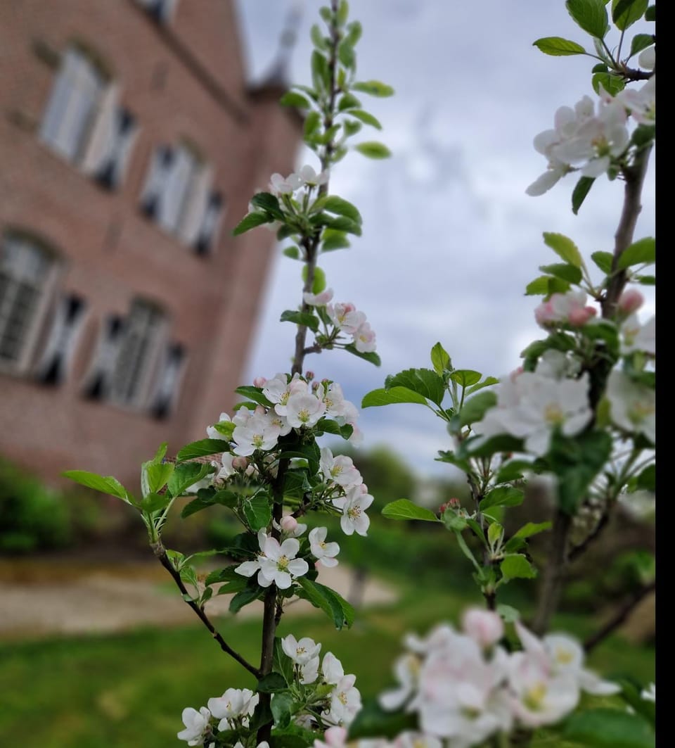 Kasteel Aldenghoor Bed and Breakfast in Limburg (province)