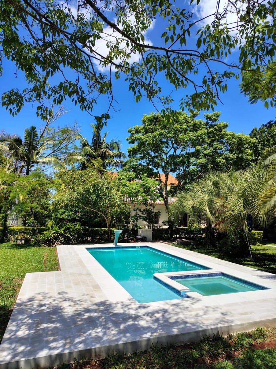 Natural landscape, Garden view, Pool view, Swimming pool, sunbed