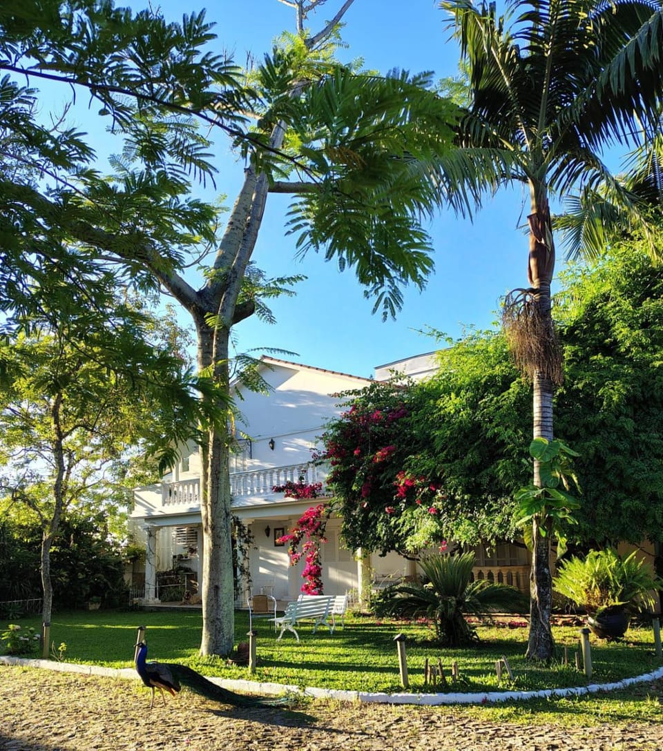 Property building, Garden, Garden view