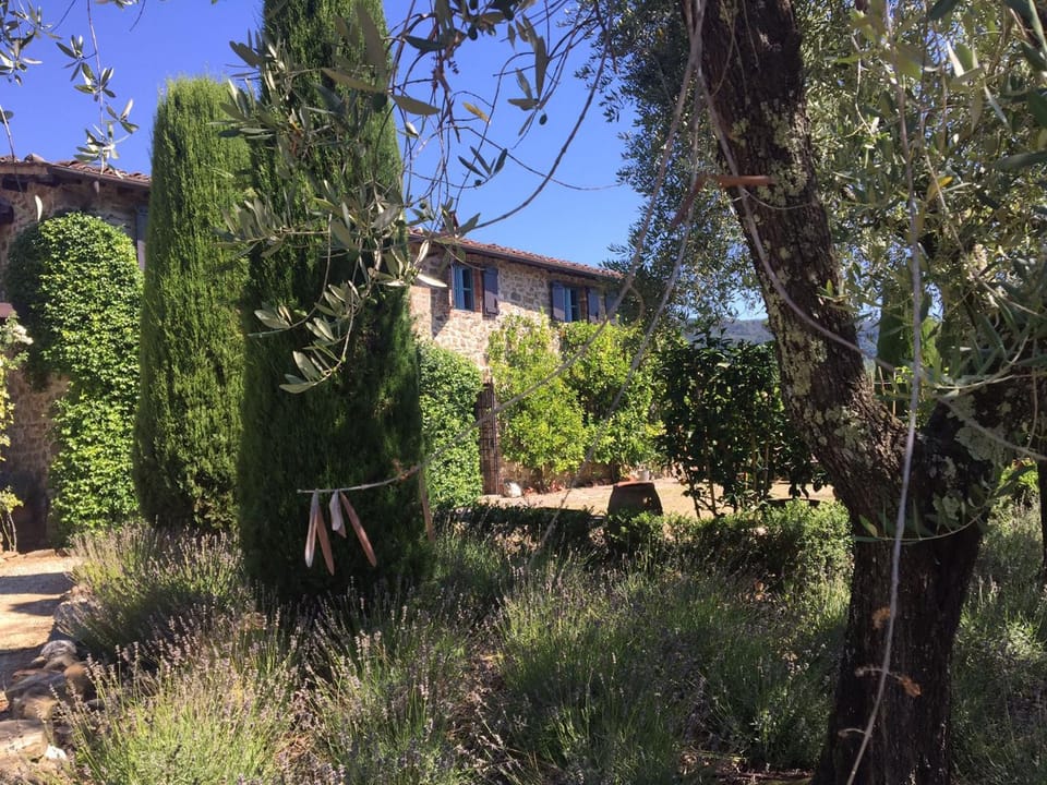 Property building, Garden