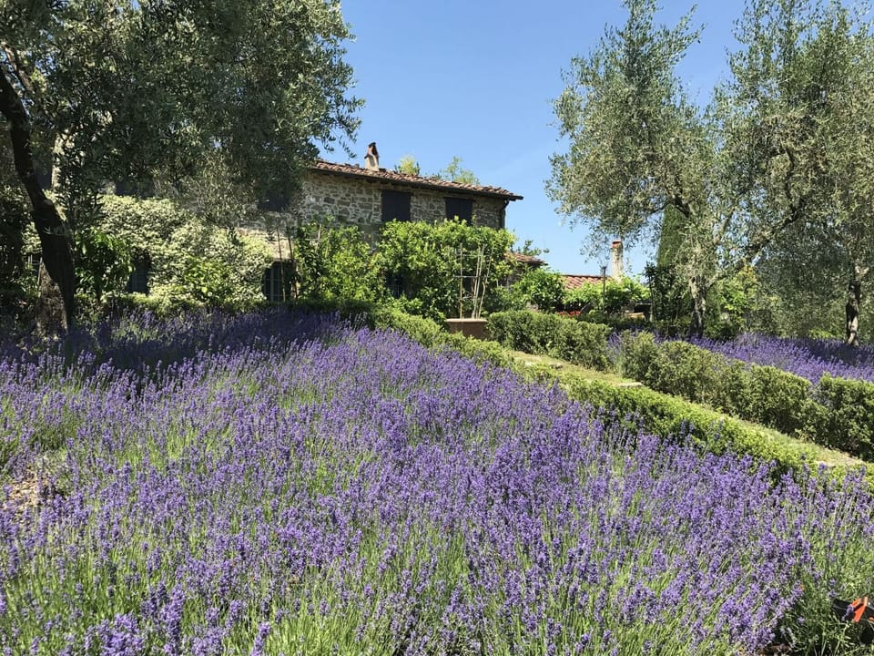 Property building, Garden