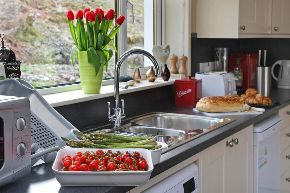 Kitchen or kitchenette, Food and drinks, Food, dishwasher, minibar, pet friendly, stove