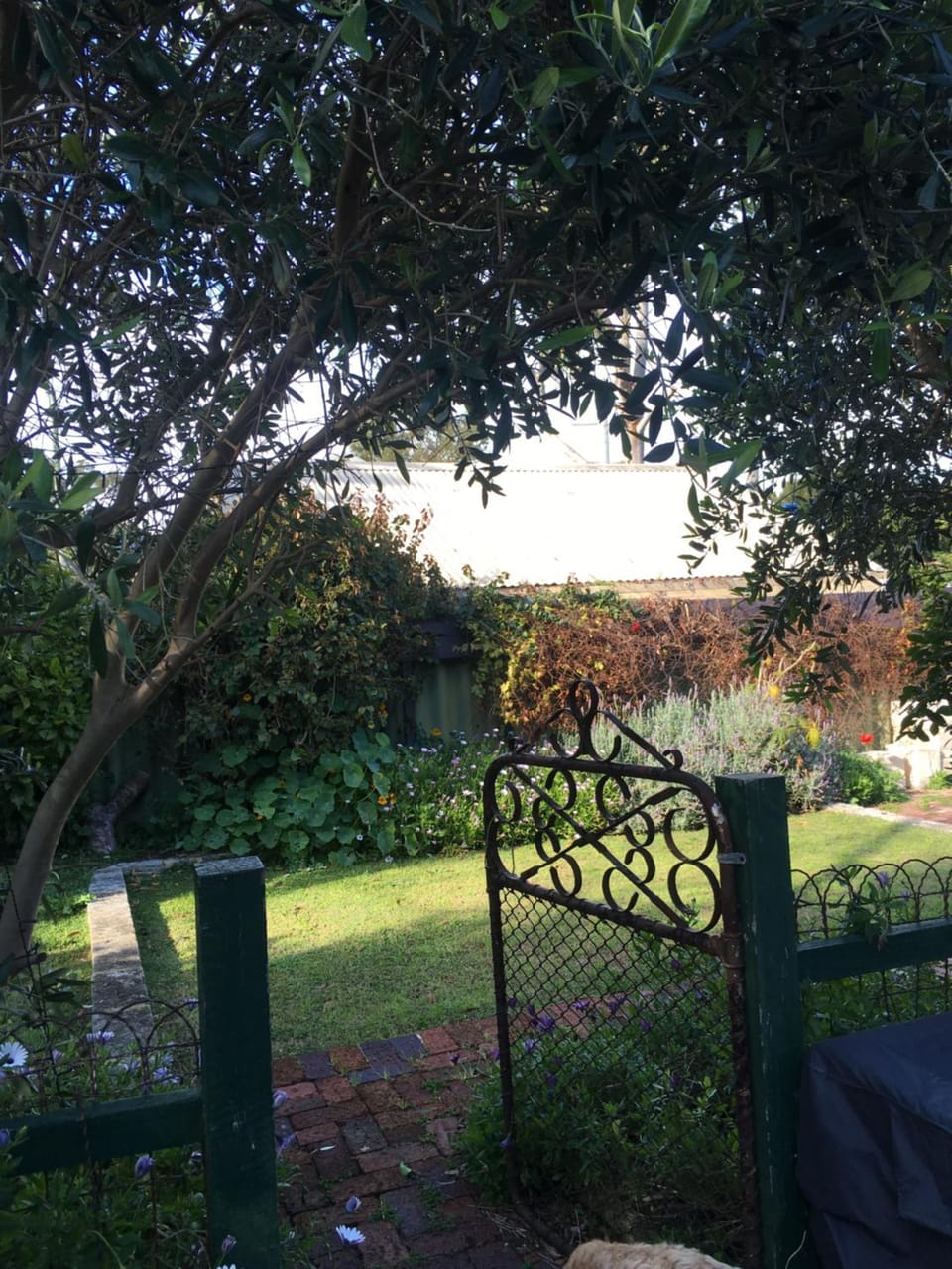 RoseMoore Bed & Breakfast Bed and Breakfast in Perth