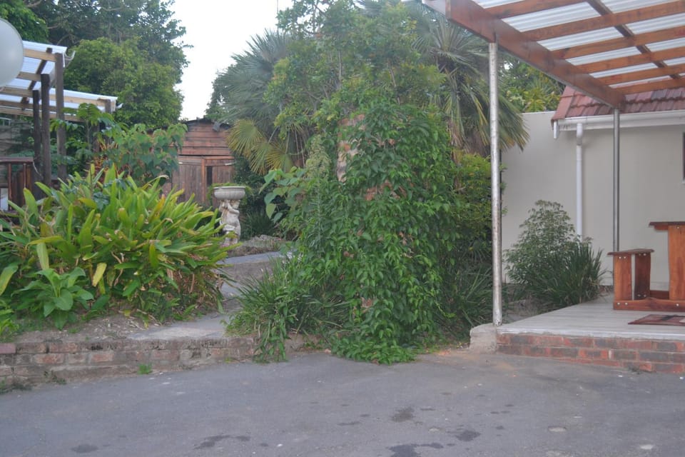 Cycad Lodge Nature lodge in Eastern Cape