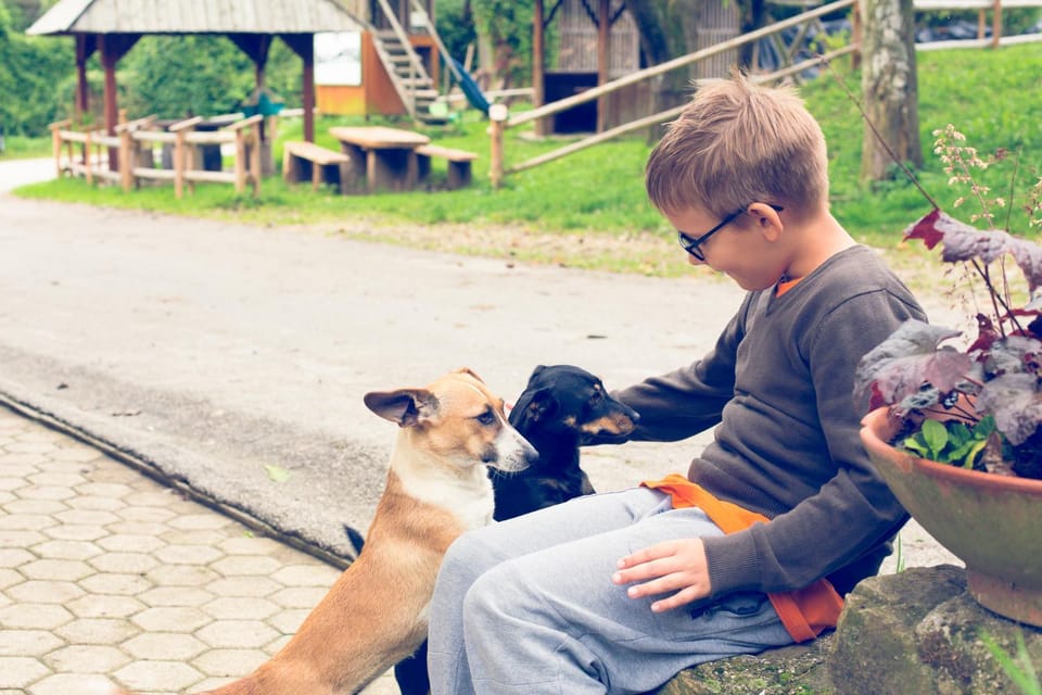 On site, Pets