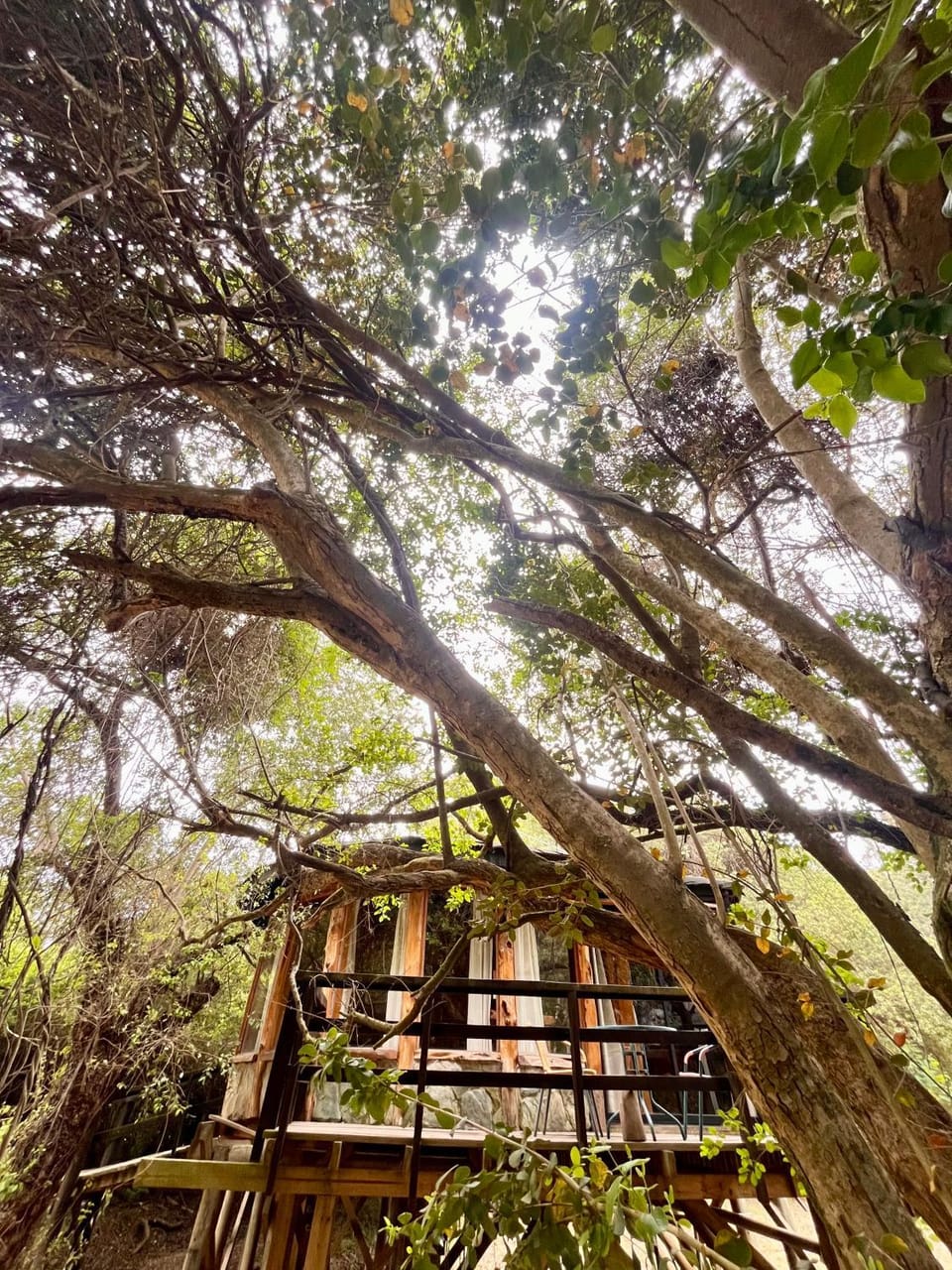 Reserva los Bollenes Nature lodge in Constitucion