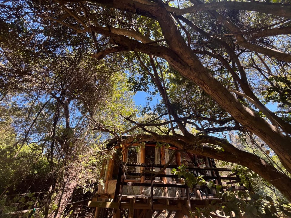 Reserva los Bollenes Nature lodge in Constitucion
