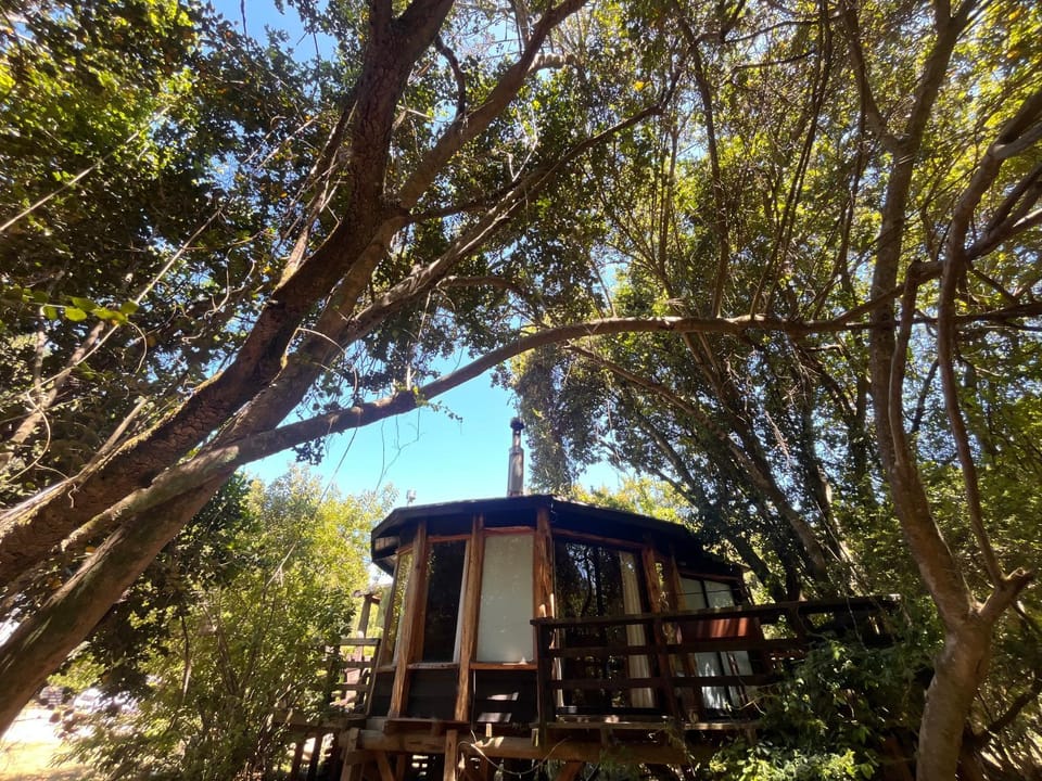 Reserva los Bollenes Nature lodge in Constitucion