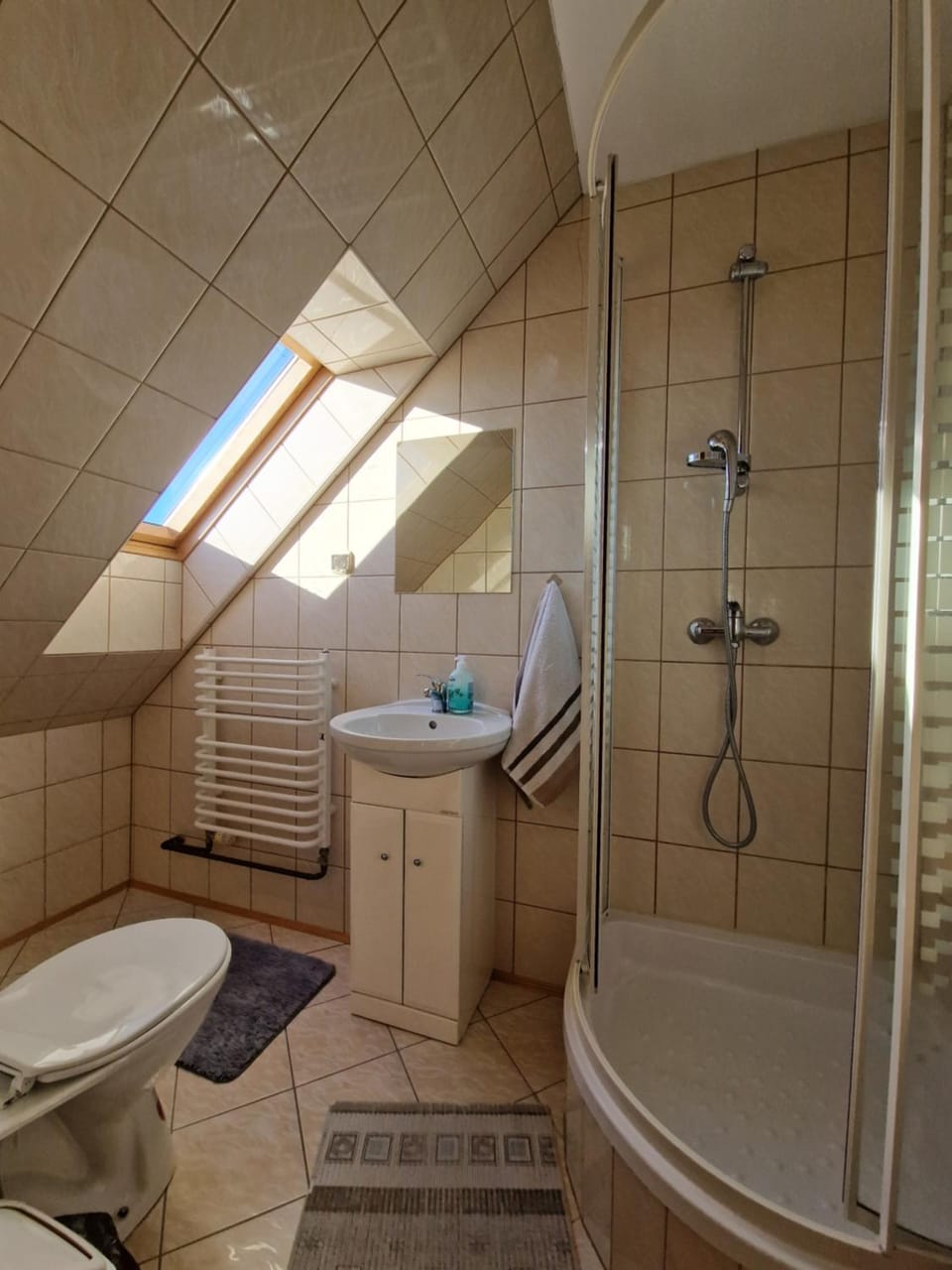 Shower, Toilet, Bathroom