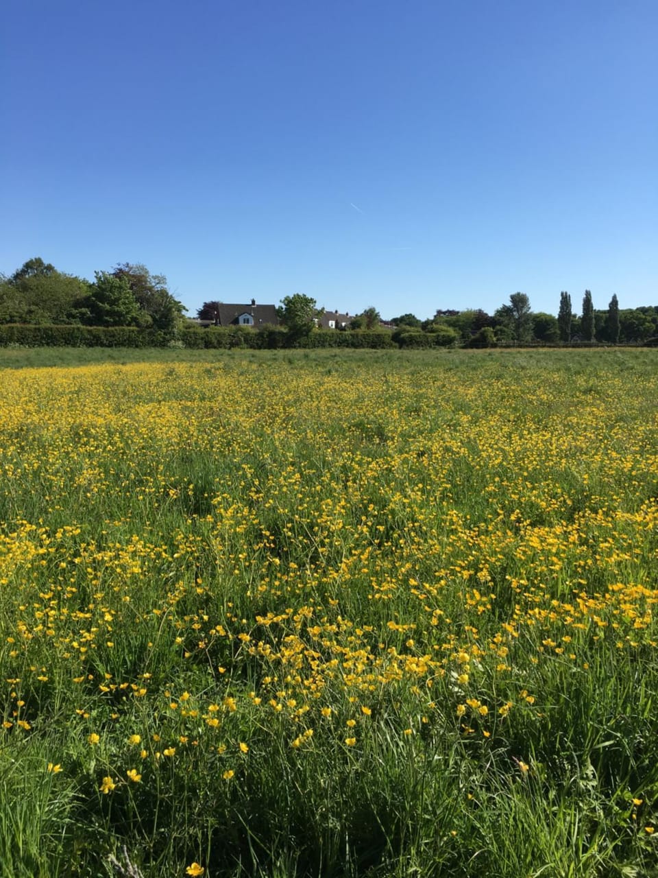 The Barn Bed and Breakfast Bed and Breakfast in Widnes