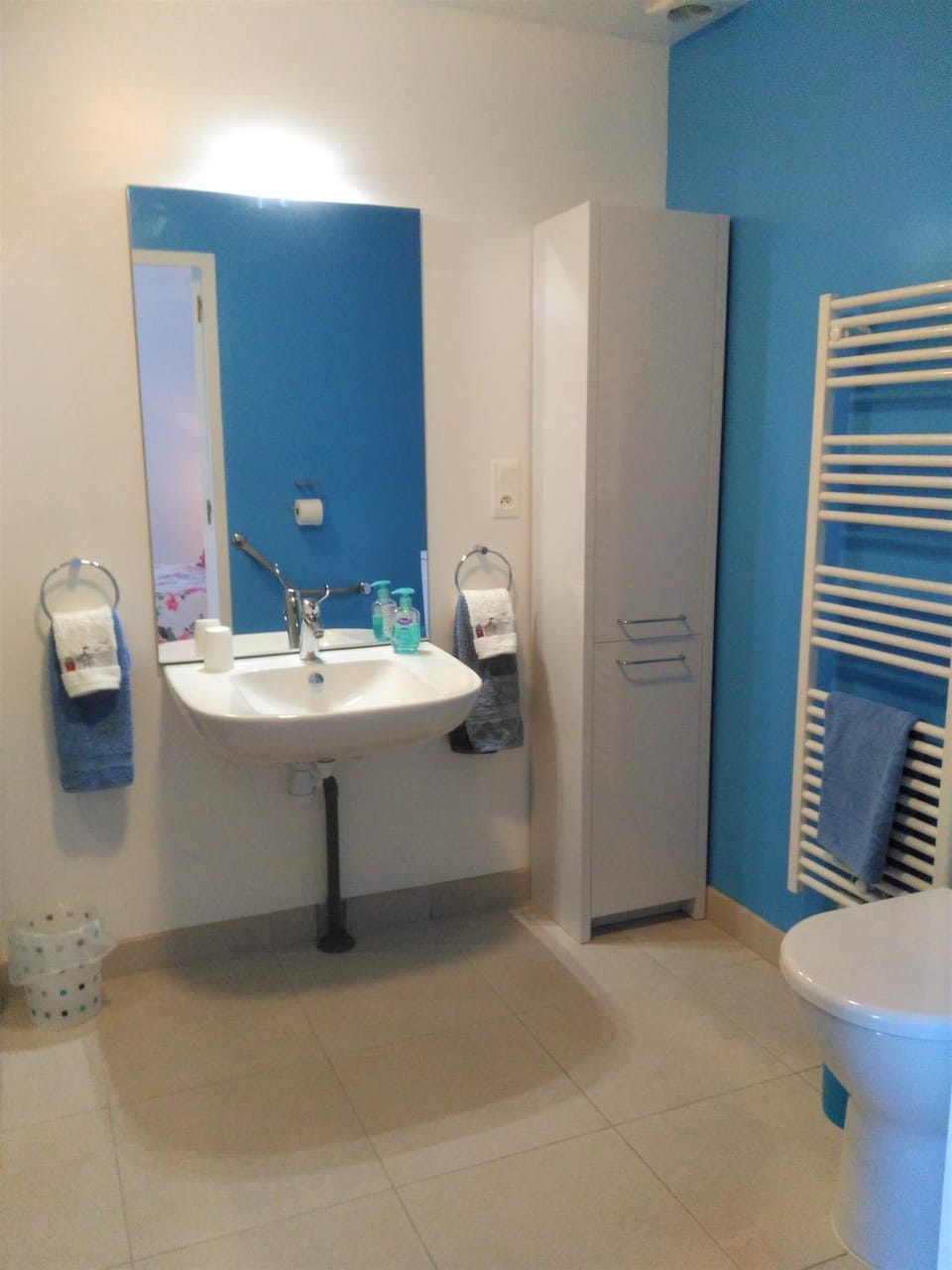 Bathroom, Area and facilities, Facility for disabled guests